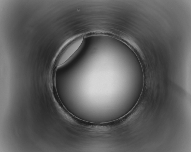 X0000088400984200705220818