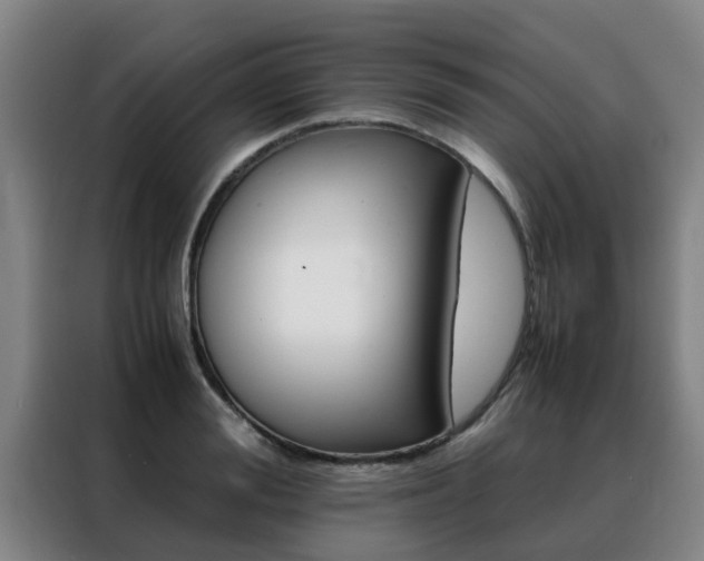 X0000088400988200705220818