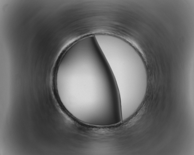 X0000088400991200705220818