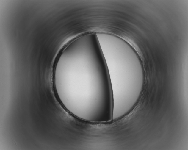 X0000088400992200705220818