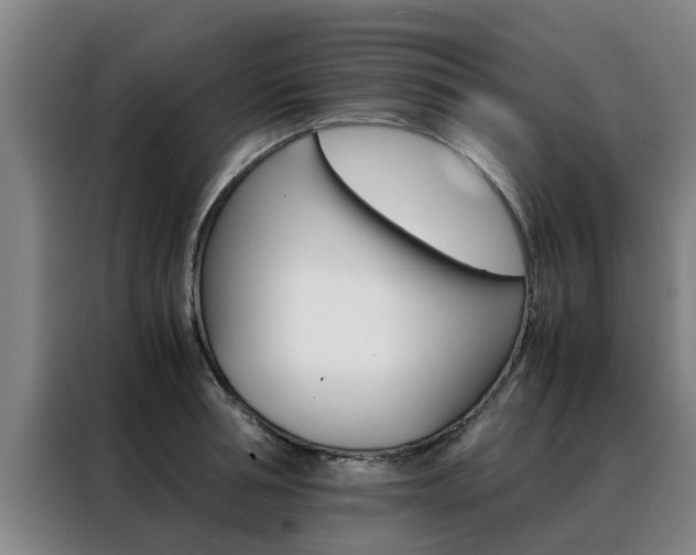 X0000088400994200705220817