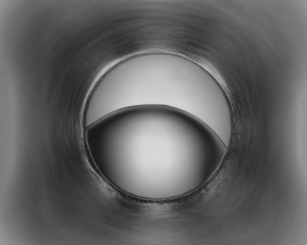 X0000088400996200705220817