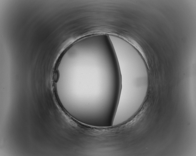 X0000088400997200705220817