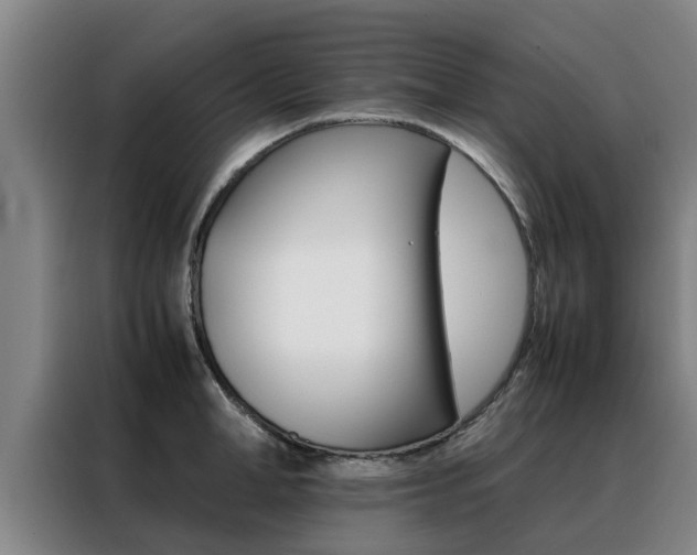 X0000088400998200705220817