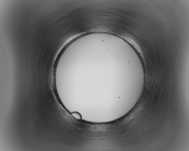 X0000088401000200705220817
