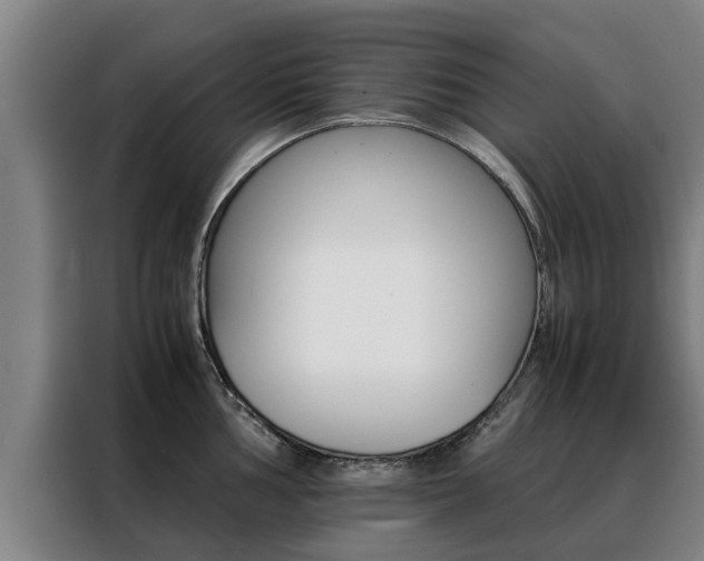 X0000088401002200705220817