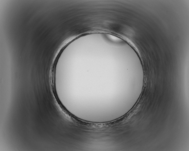 X0000088401003200705220817
