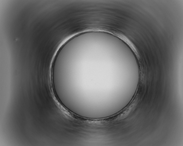 X0000088401004200705220817