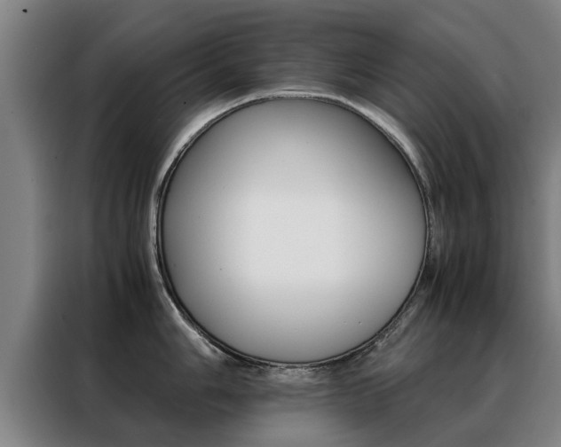 X0000088401006200705220817