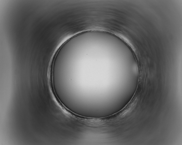 X0000088401007200705220817