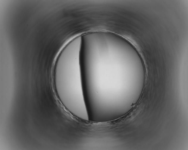 X0000088401008200705220817