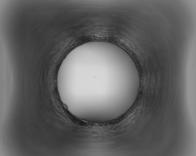 X0000088401009200705220817