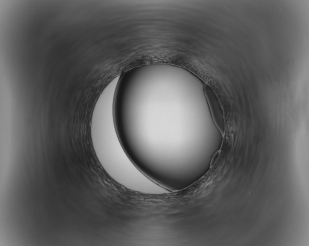 X0000088401010200705220817
