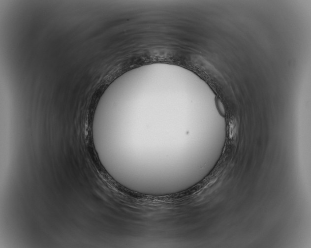 X0000088401011200705220817