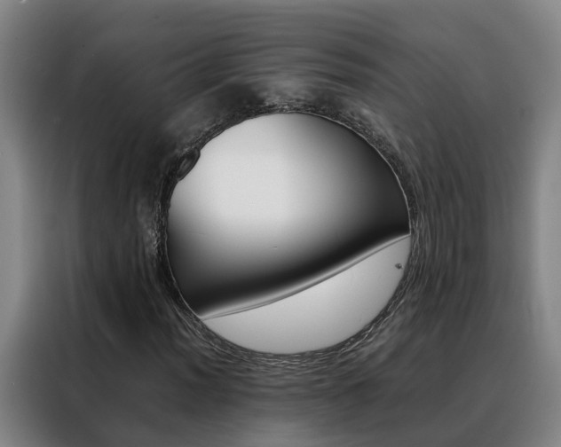 X0000088401012200705220817
