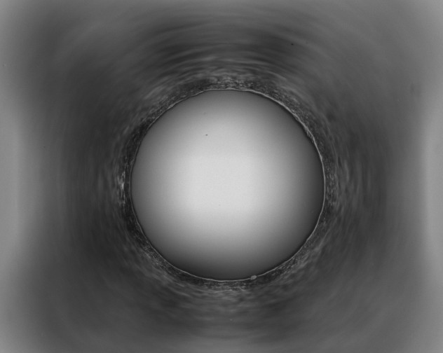 X0000088401013200705220817