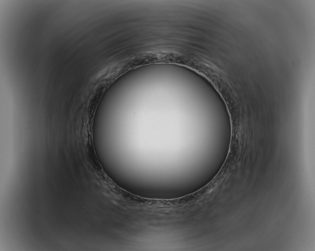 X0000088401014200705220817