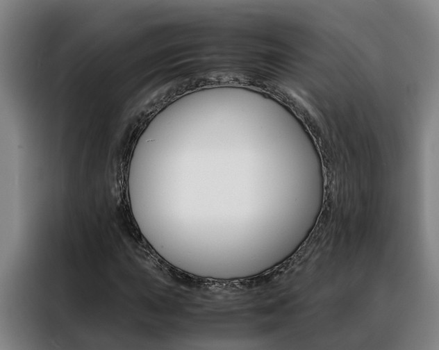 X0000088401015200705220817