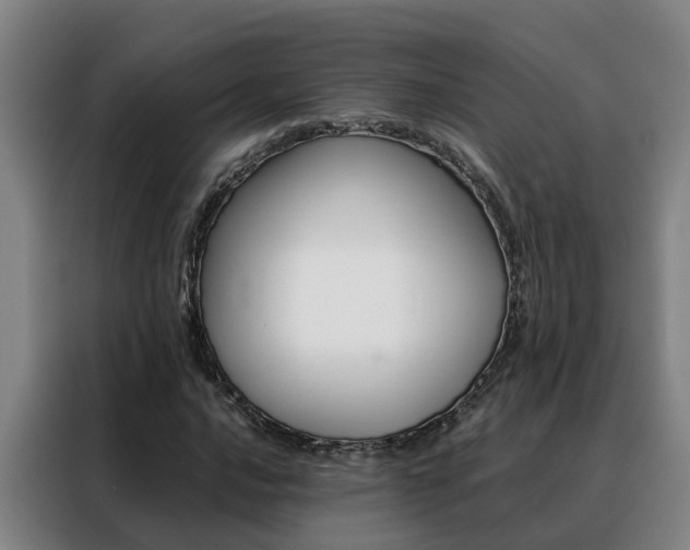 X0000088401016200705220817