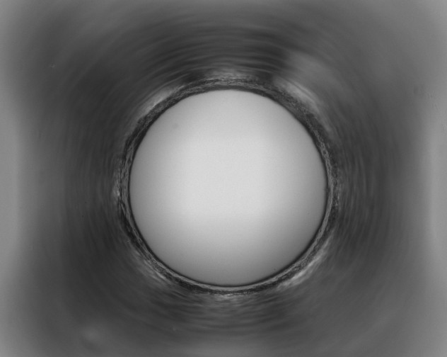 X0000088401017200705220817