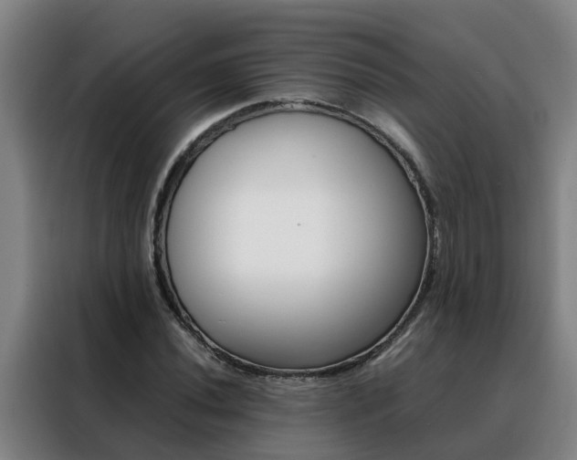 X0000088401020200705220817