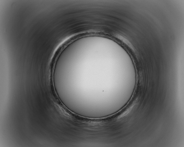 X0000088401021200705220817