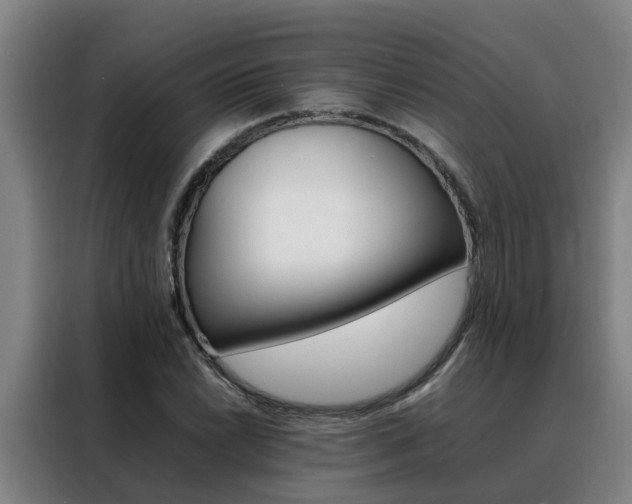X0000088401022200705220817