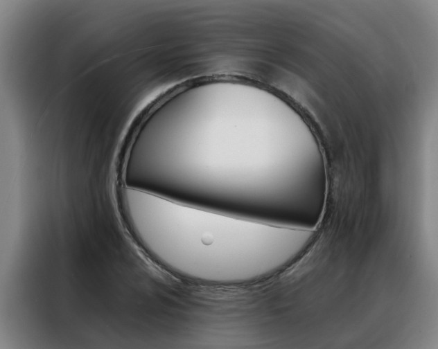 X0000088401024200705220817