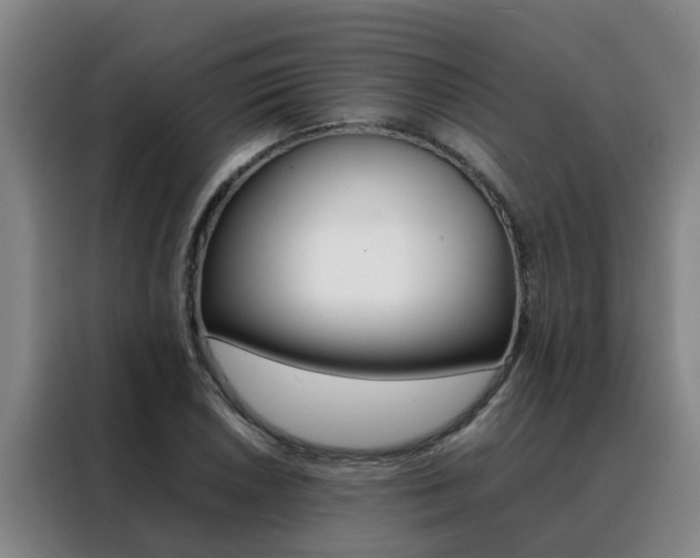 X0000088401026200705220817