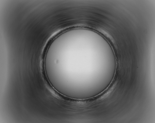 X0000088401029200705220817