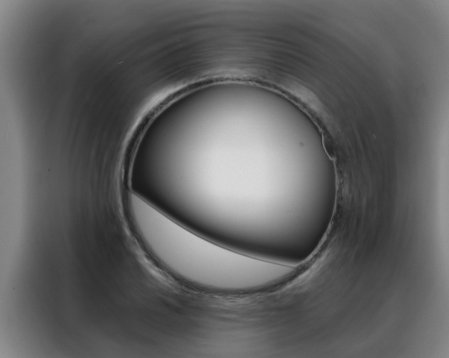 X0000088401030200705220817