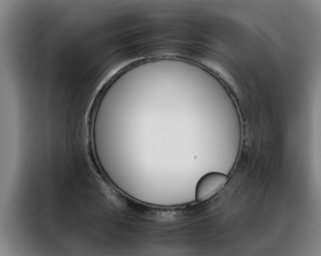 X0000088401031200705220817