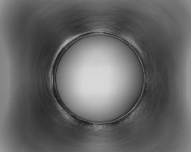 X0000088401032200705220817
