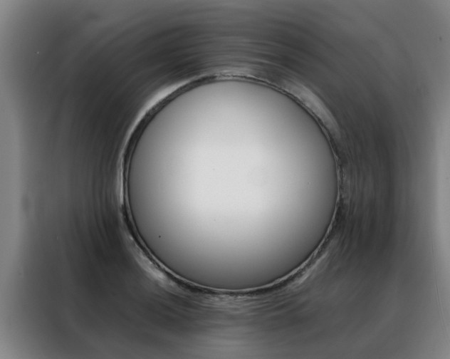 X0000088401036200705220817
