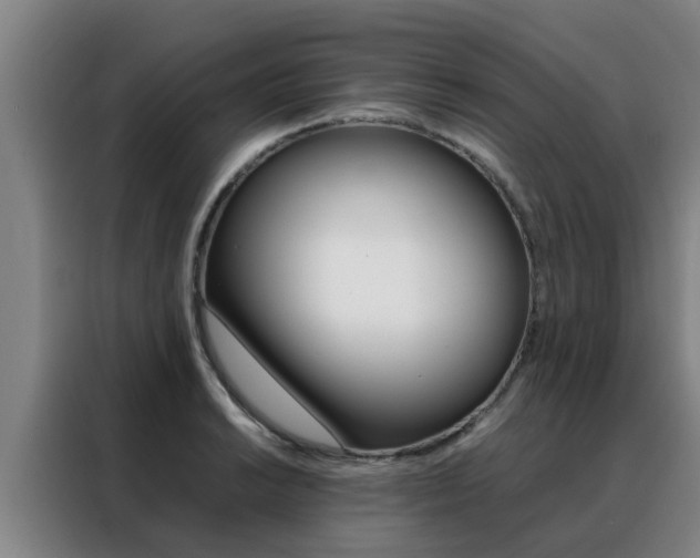 X0000088401038200705220817