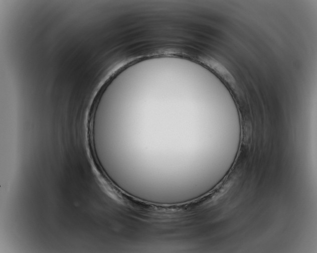 X0000088401039200705220817