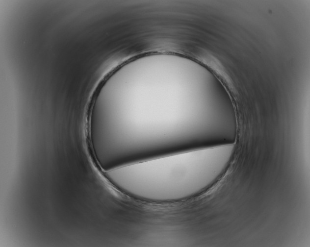 X0000088401040200705220817