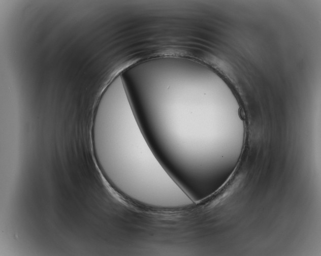 X0000088401041200705220817