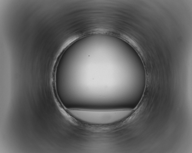X0000088401042200705220817