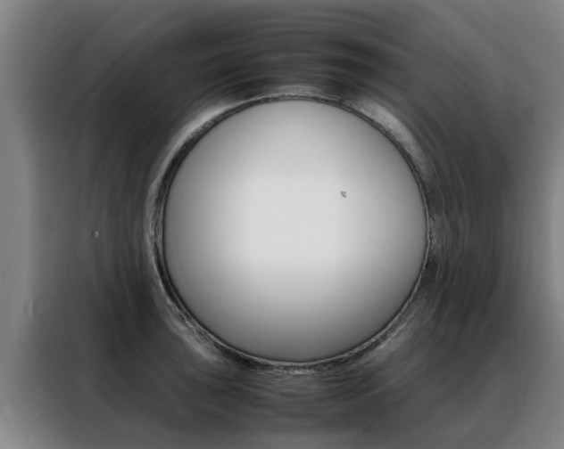 X0000088401043200705220817