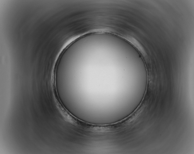 X0000088401044200705220817