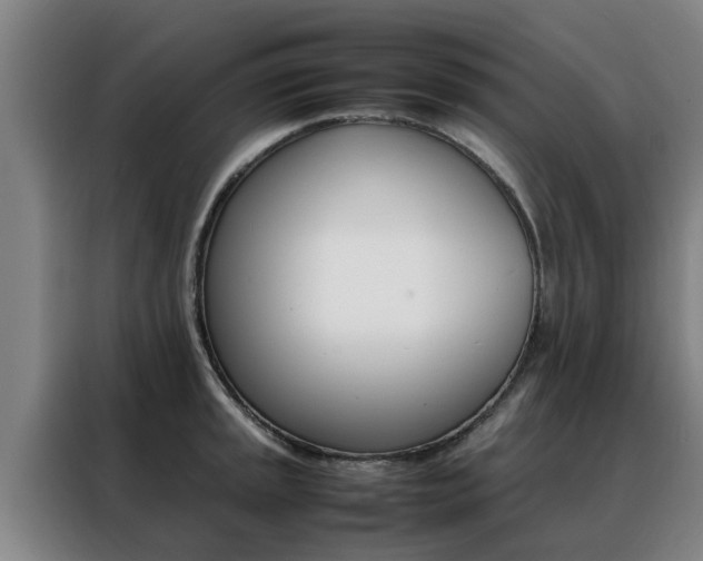 X0000088401045200705220817