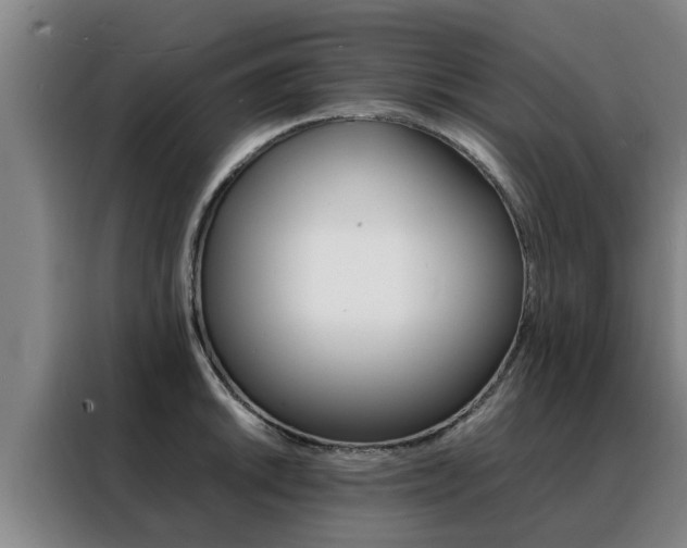 X0000088401046200705220817