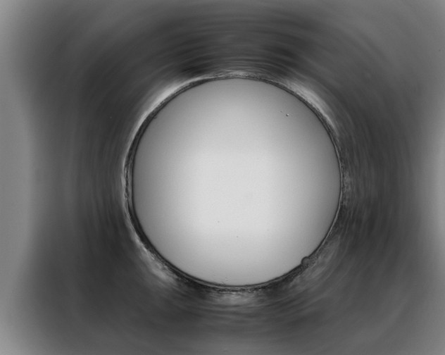 X0000088401047200705220817