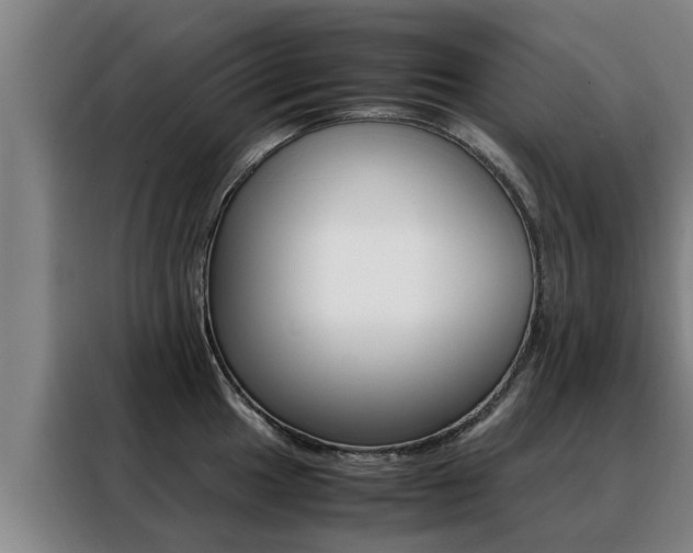 X0000088401049200705220817