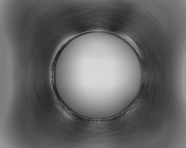 X0000088401051200705220817