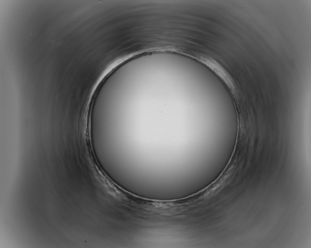 X0000088401052200705220817