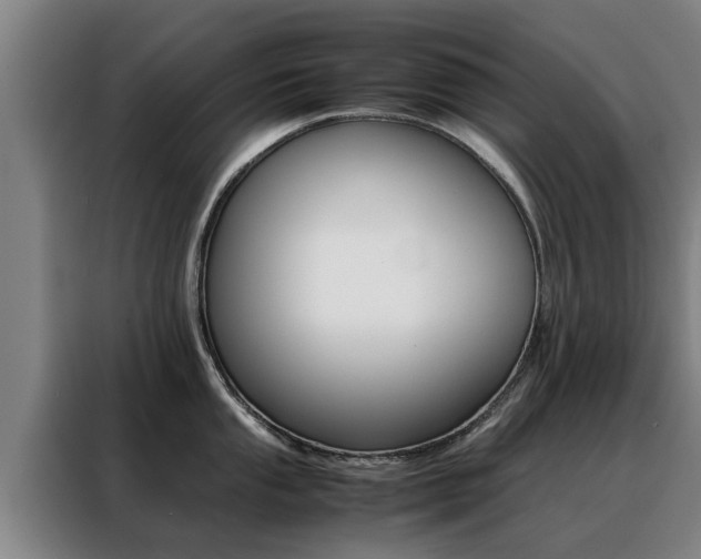 X0000088401053200705220817