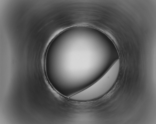 X0000088401054200705220817