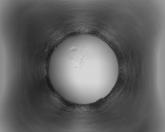 X0000088401058200705220817